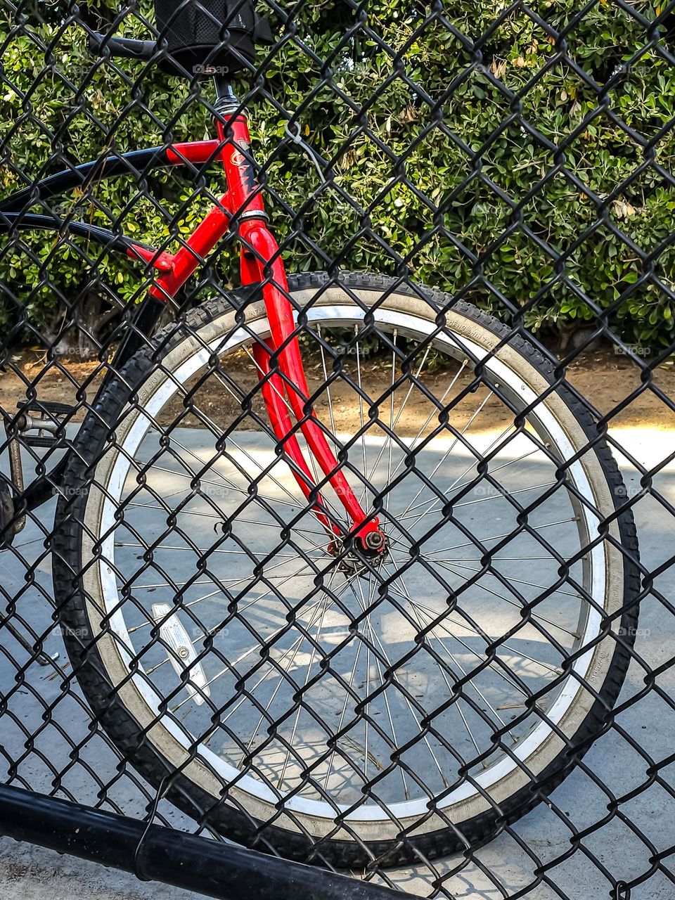 Black and red bicycle behind a black chain link fence in the park, by the dog park