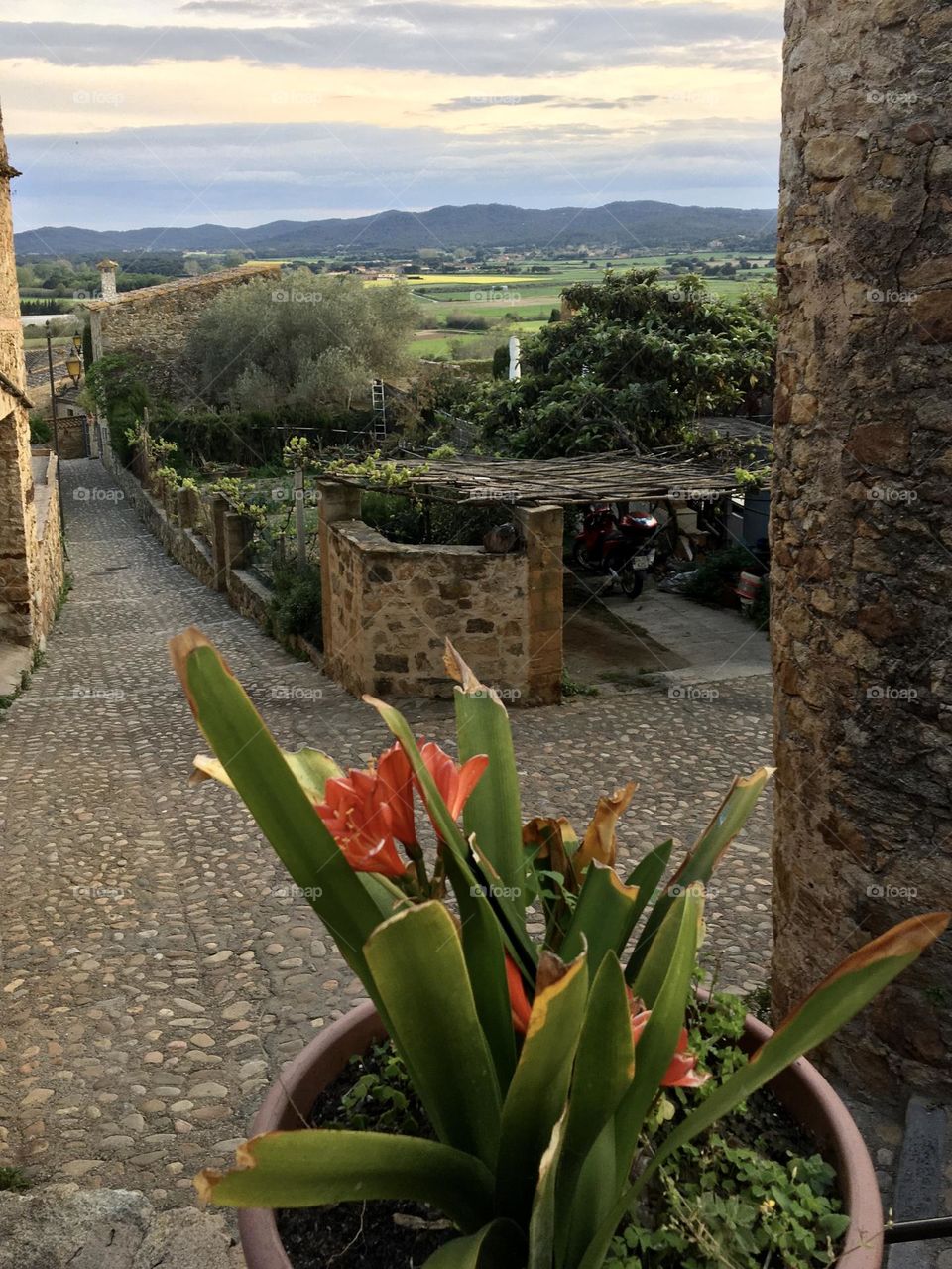 Clivia in historic village with view