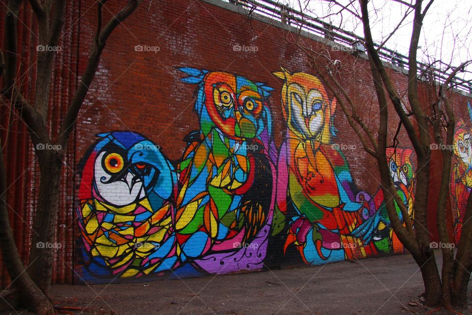 Owls of Brooklyn