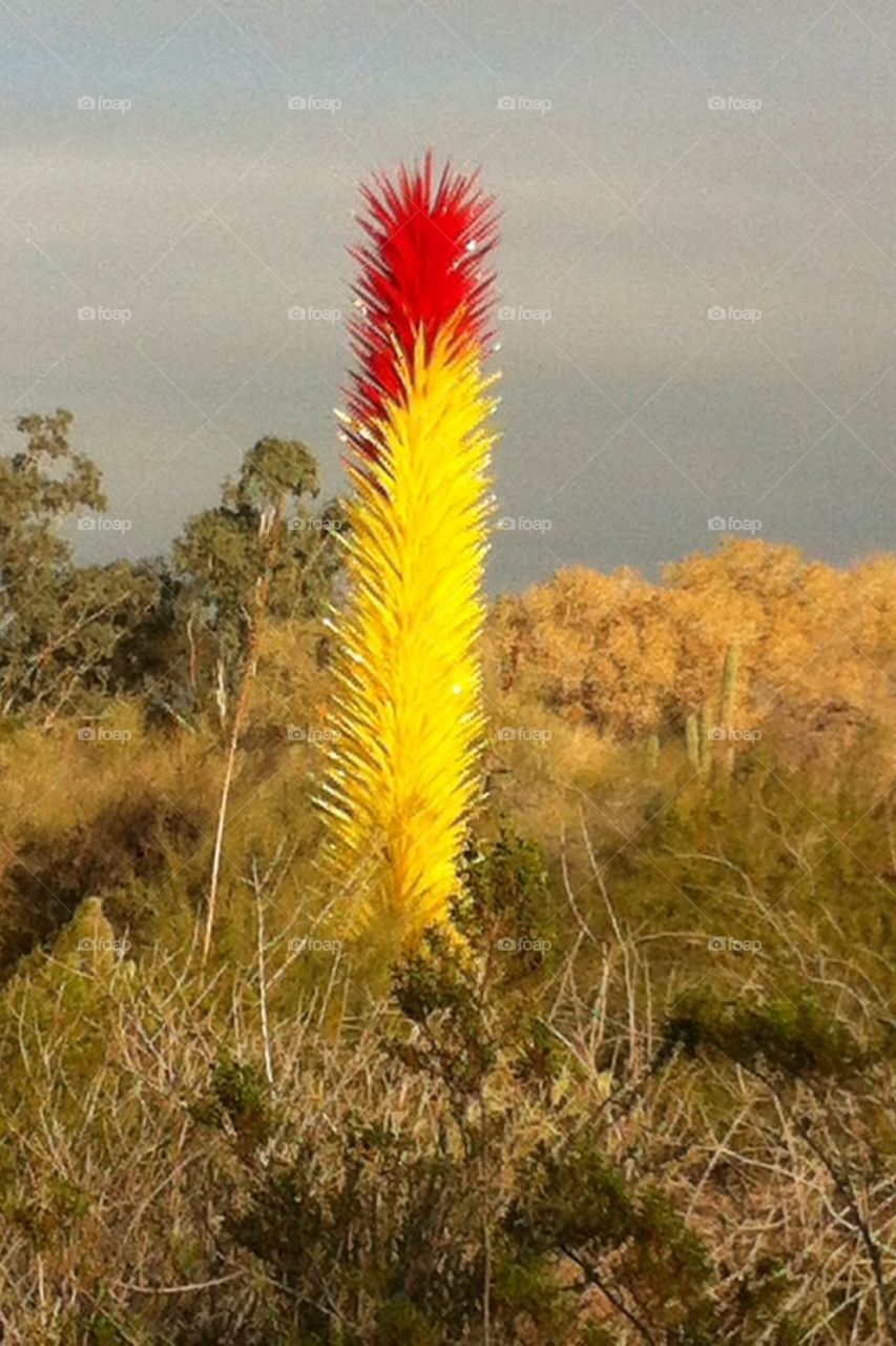 Art, glass, desert