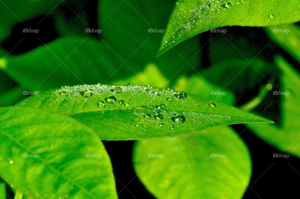 --Someday in the morning....