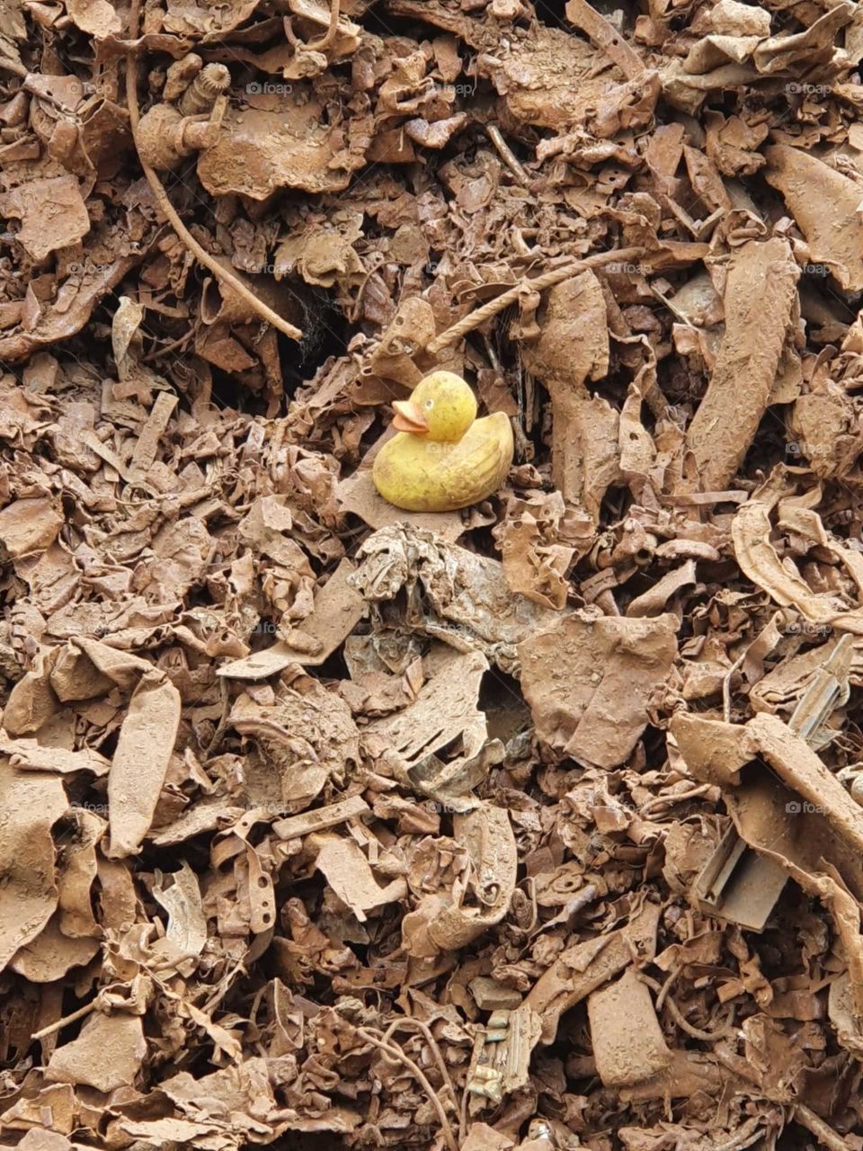 Yellow small rubber duck between a large pile of scrap / metal.