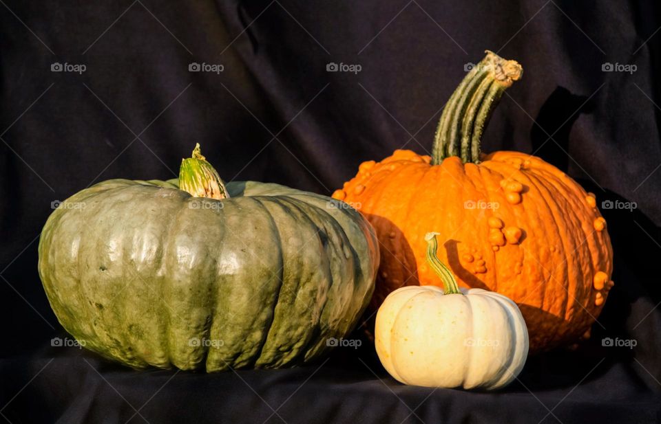 Ugly pumpkins still life