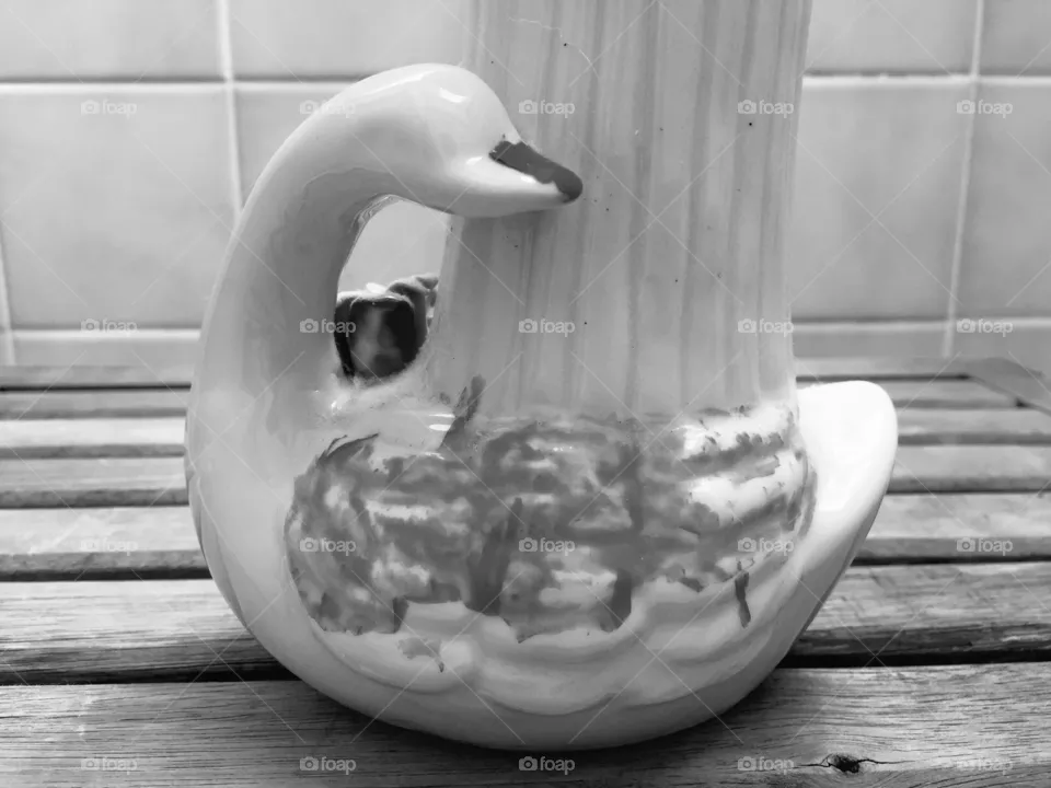 My duck