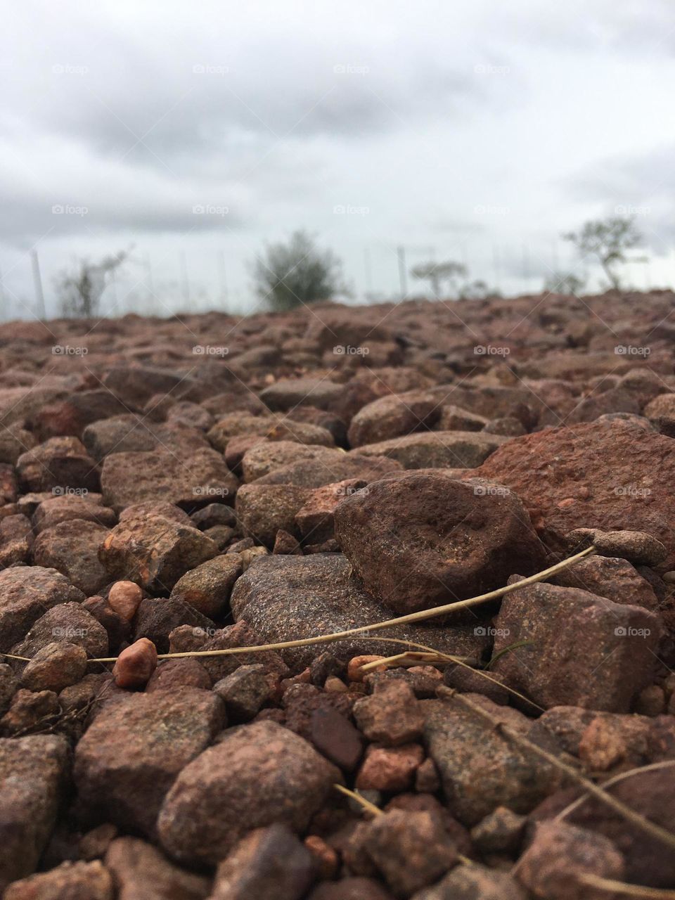 Traveling to a game lodge- rocky roads. You need a 4 x 4 to drive