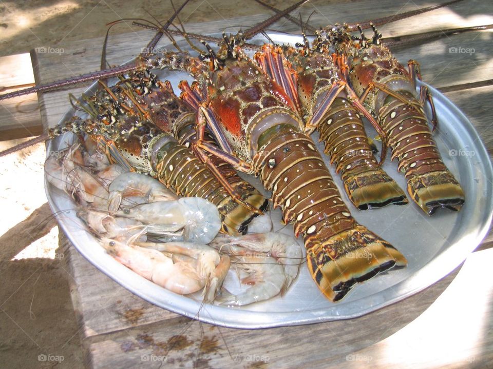 Lobsters at Cayo Levantado