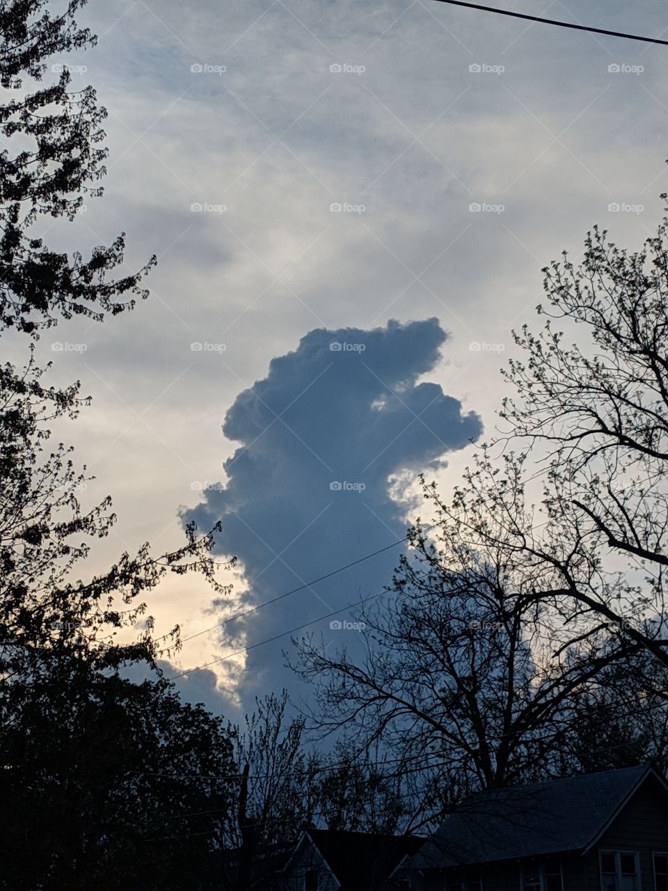 dinosaur cloud