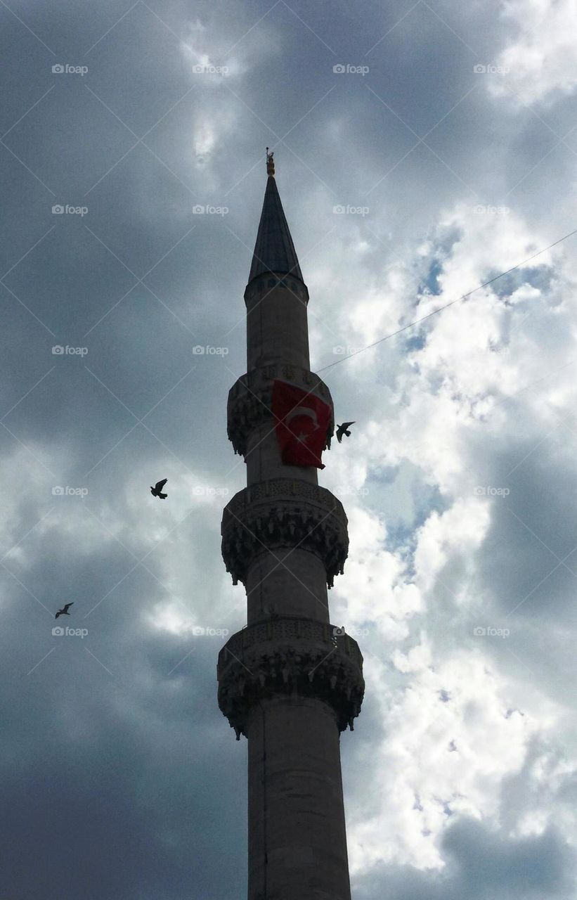 Birds around the tower