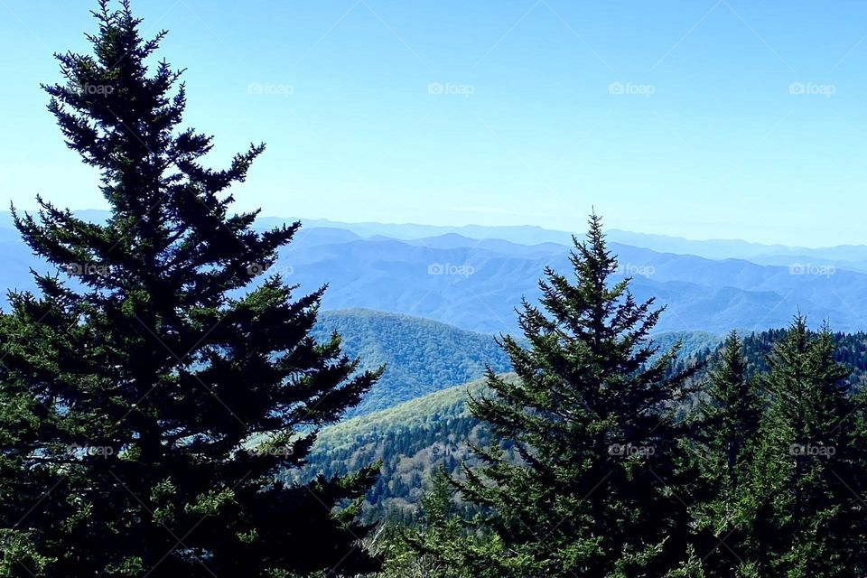 Great Smokey Mountains