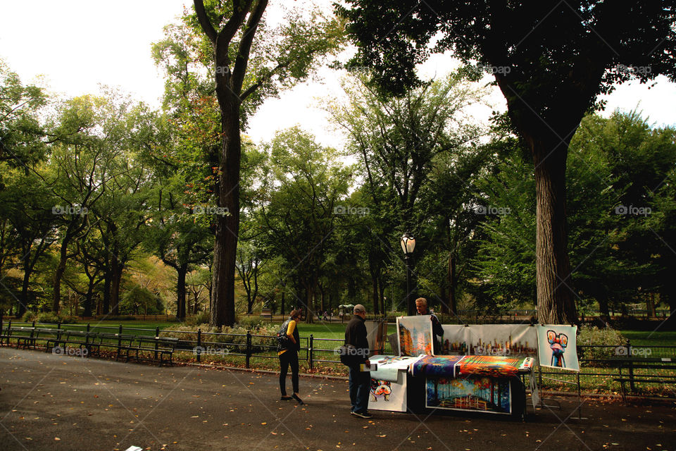 An Artist in Central Park