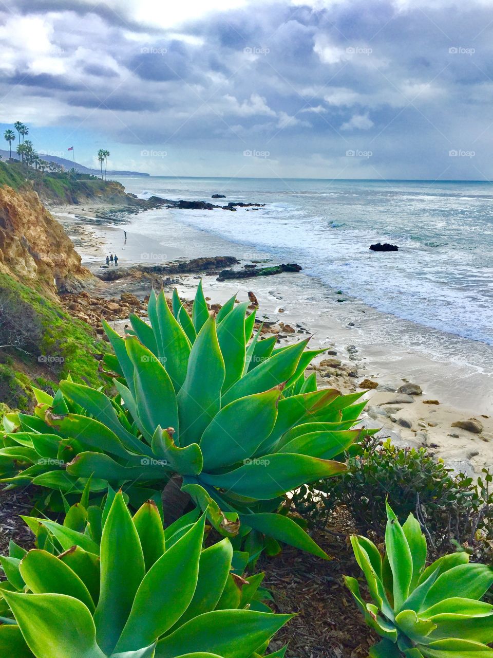 California Cliff Side View 