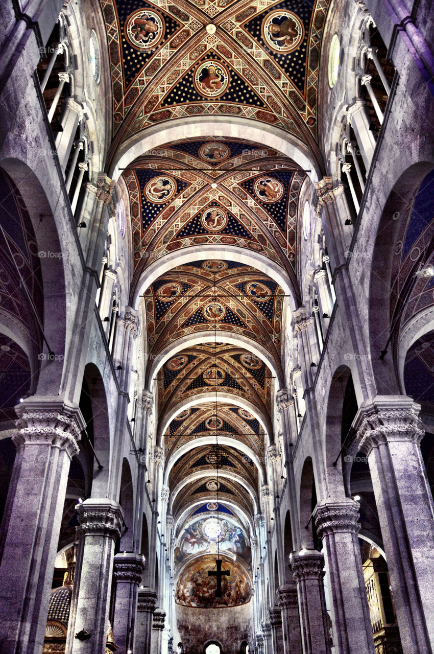 Nave Central Catedral de San Martín. Nave Central Catedral de San Martín (Lucca - Italy)