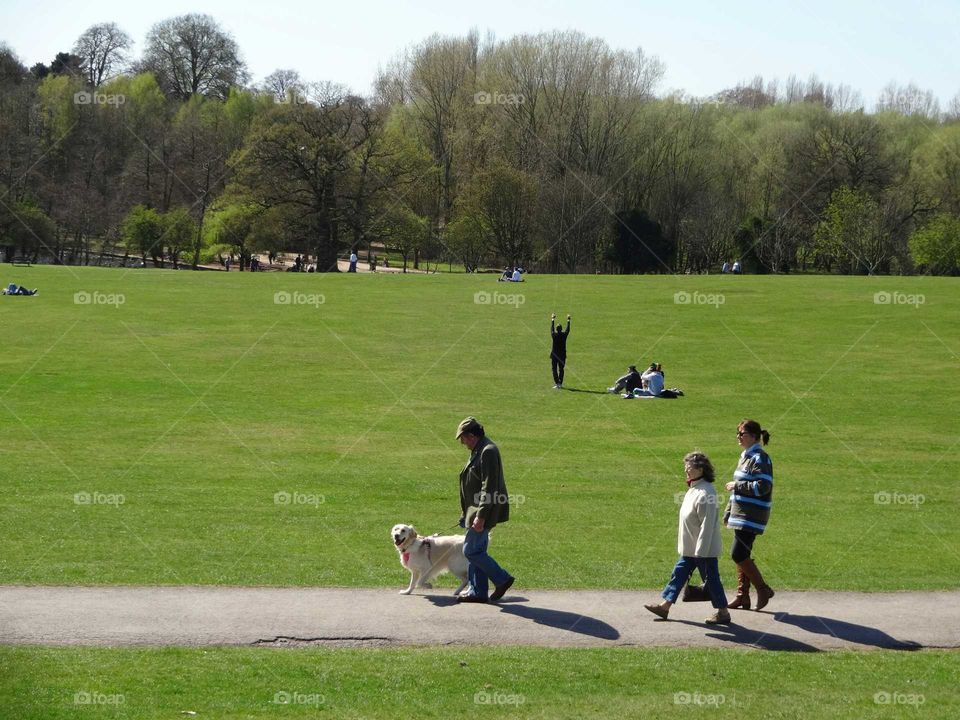 landscape of family leisure activities