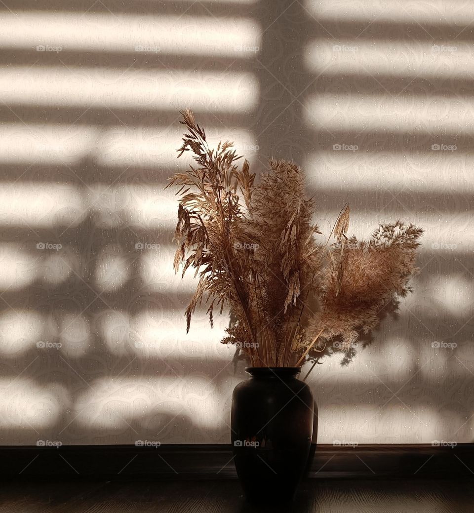 flowers in a vase and sun shadows