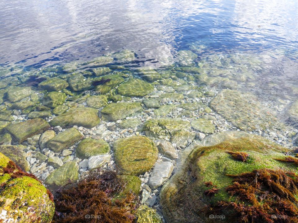 Clean water in the sea. Stones were overgrown with seaweed. Reflection in the water.