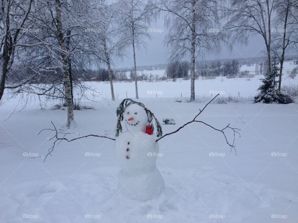 Snowman. We visited beautiful Finland last winter and had a great time in the snow. 