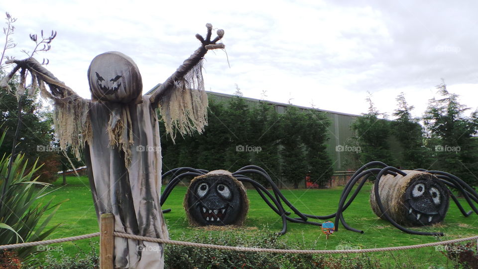 scarecrow and farm Halloween decorations . hay. farming