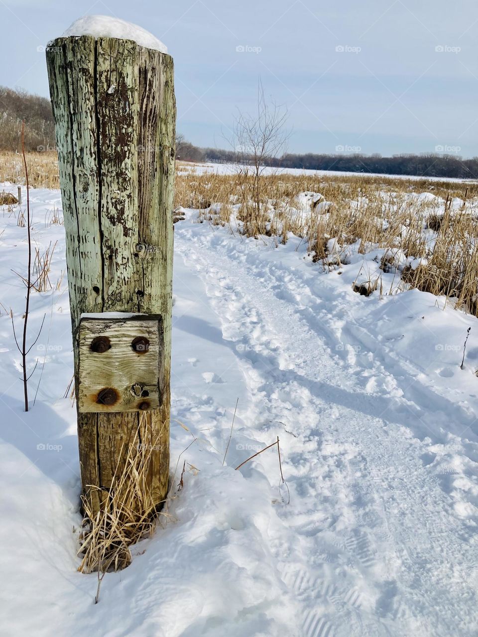 Weathered Wood fence post with rusty metal bolts on an old broken gate along a snowy path at Crosby Farm, St. Paul, Minnesota, USA