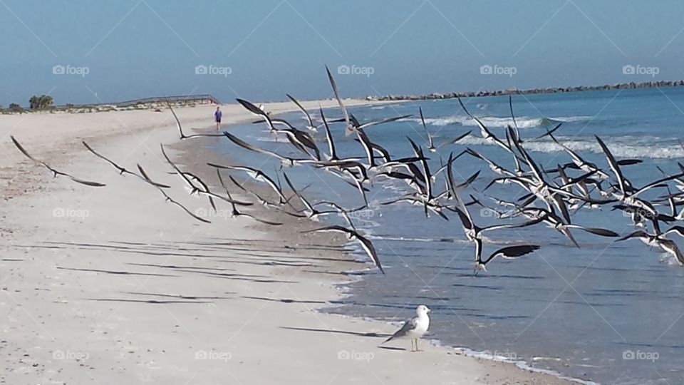 Awesome Beaches and Cliffs