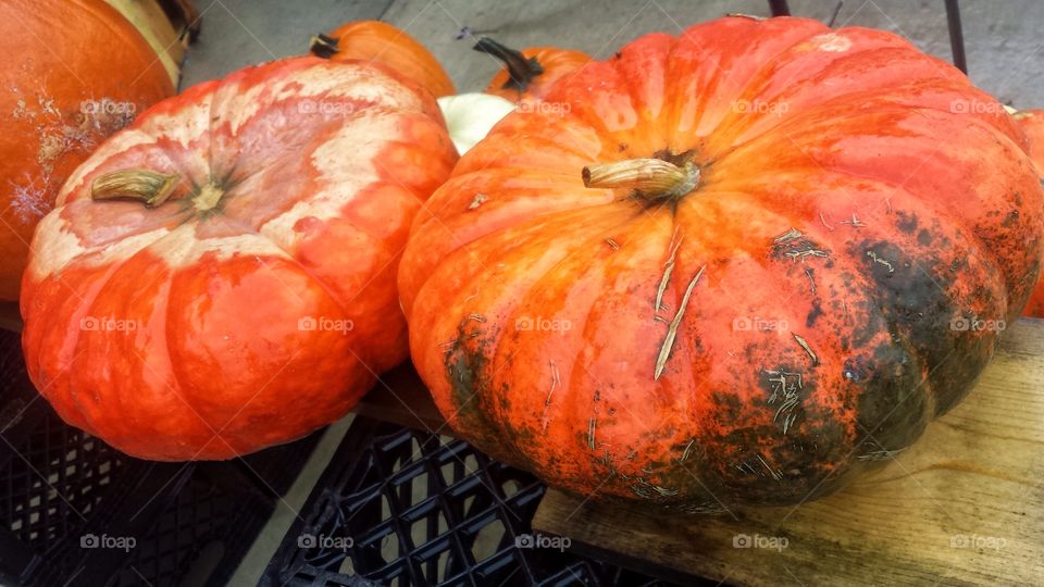 Close-up of pumpkin on table