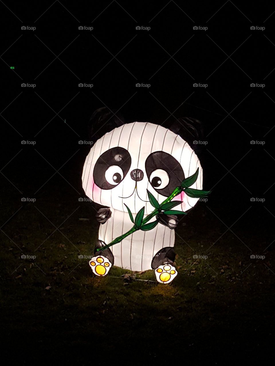 panda in lights