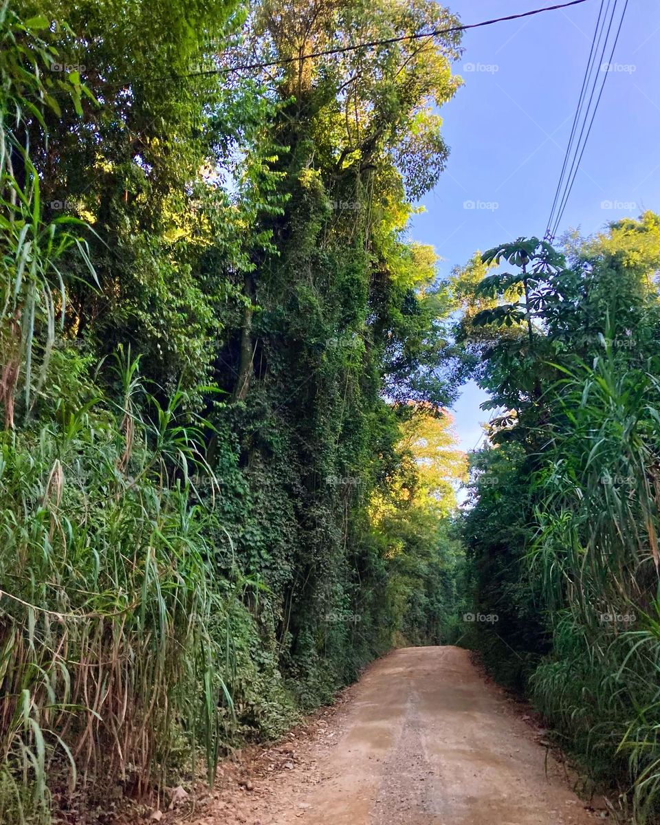 Faz tempo que eu não transitava por aqui, no #Bairro do Nova Era. A #estrada afunilou!
Eu sei que é rota de fuga do pedágio do Bairro do Jacaré para muitos… mas não precisavam abandonar a via pública!