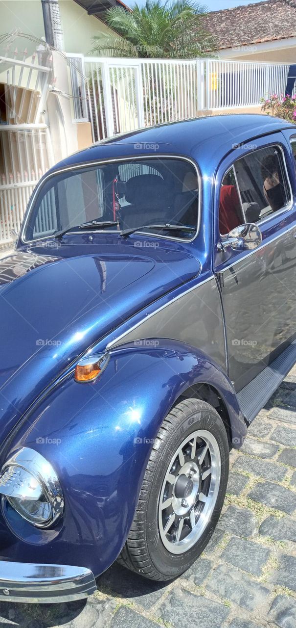 fusca