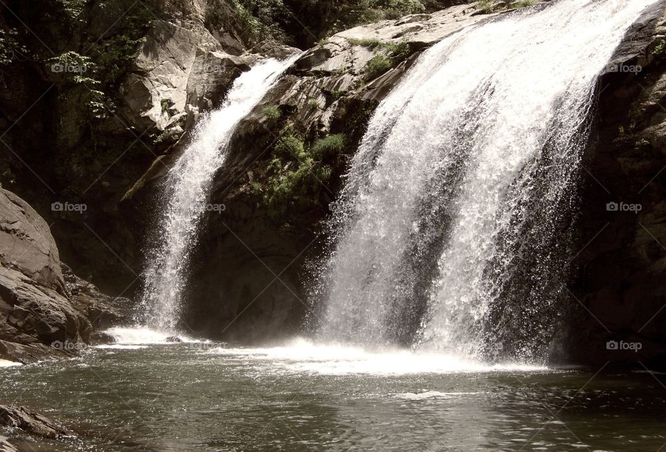 North Carolina Surprise