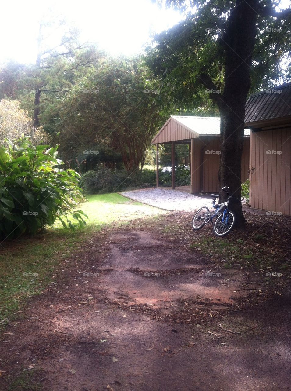 Bike and a path