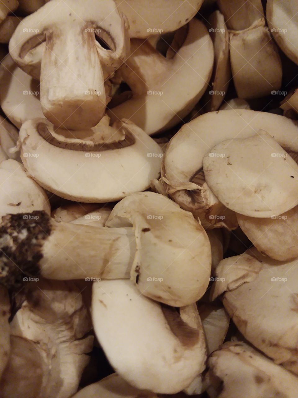 close up mushrooms