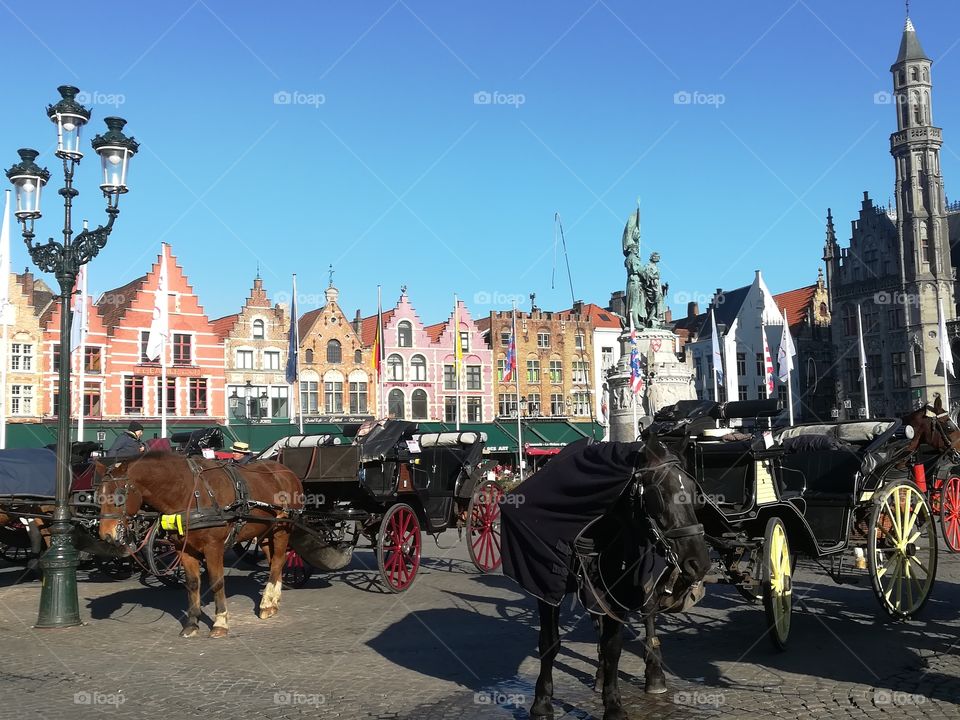 This photo was taken in Brügge, Belgium. It is the main square-Grote Markt.