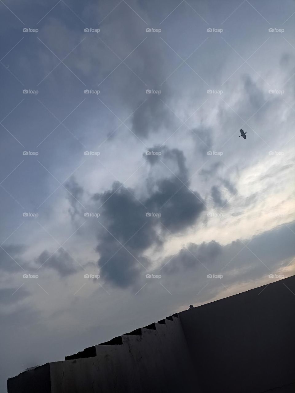 fly up up up in the sky