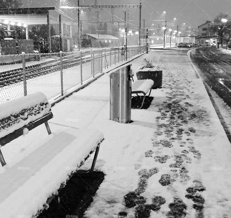 Silent Winter, Snowing by Night 