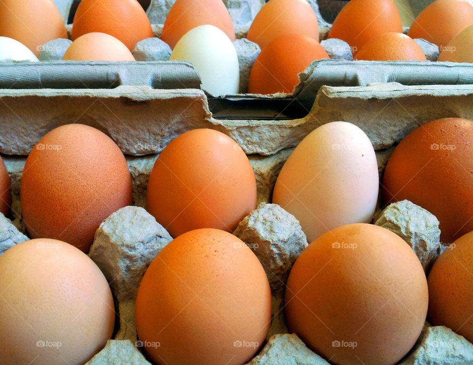 Free range farm fresh brown organic eggs