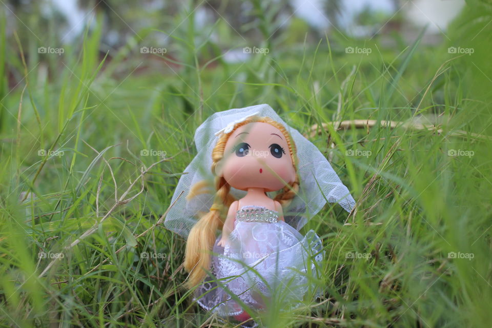 doll toys colour full grass Christmas focus close up bride dress