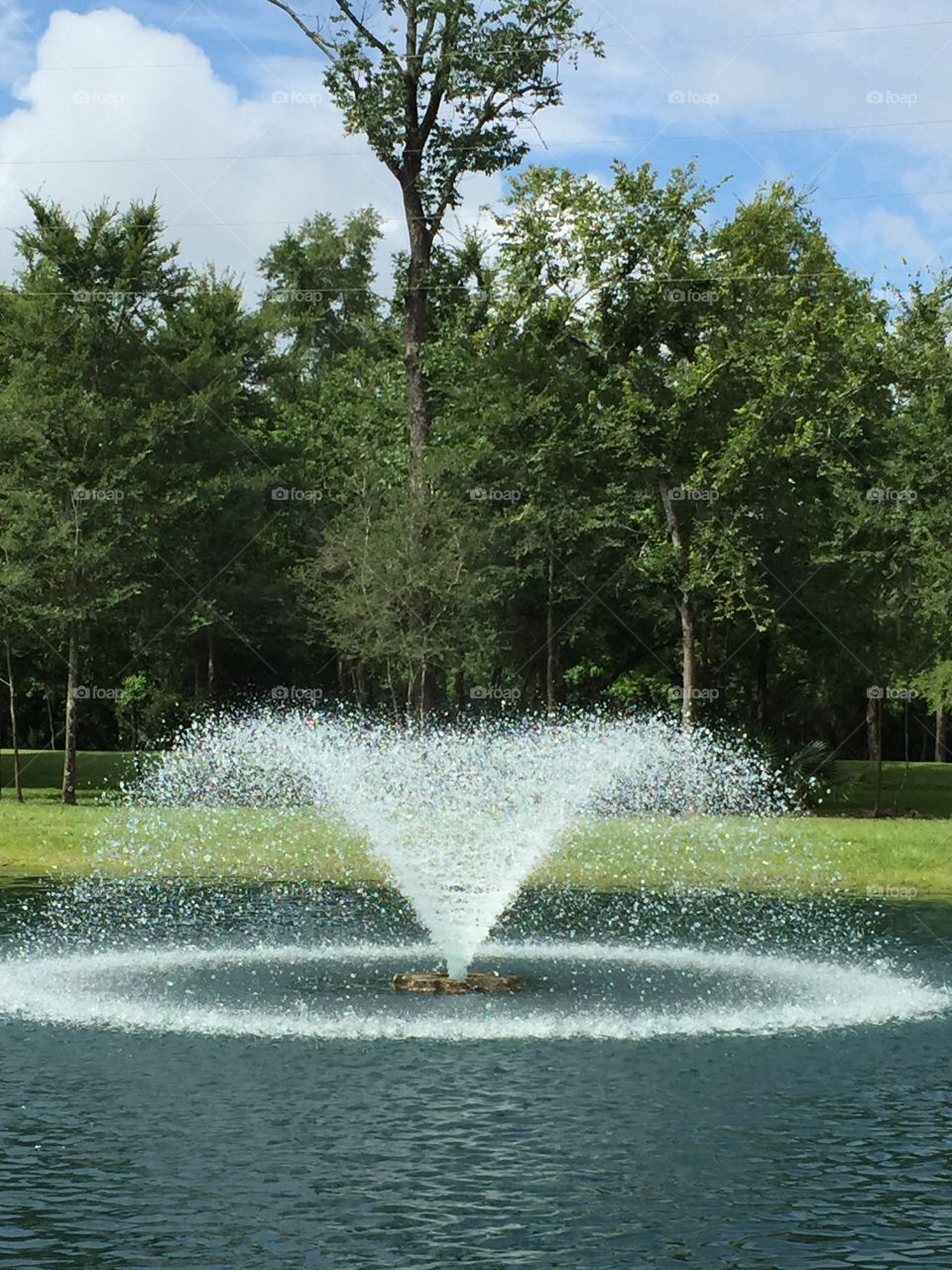 Fountain in a Pond