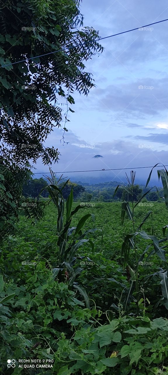 Descending on top of the mountains, the change is very beautiful and the mind starts to feel. Looks very beautiful.
Look more beautiful on rainy days.
It seems like a paradise looks very beautiful. Like heaven on earth