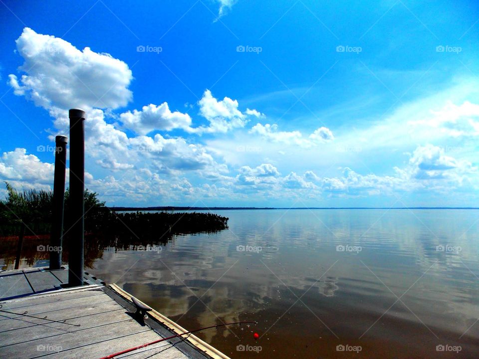 Lake Apopka FL 
