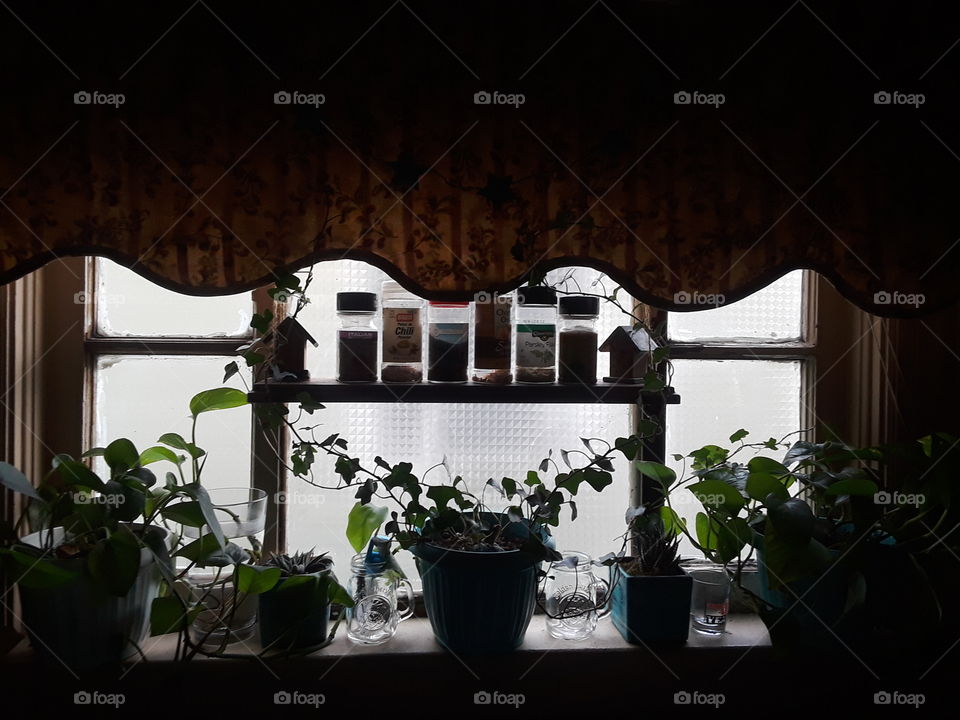 kitchen window plants n spices