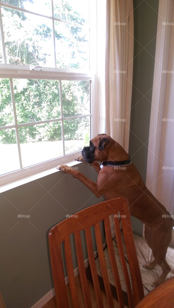 One, People, Indoors, Furniture, Room