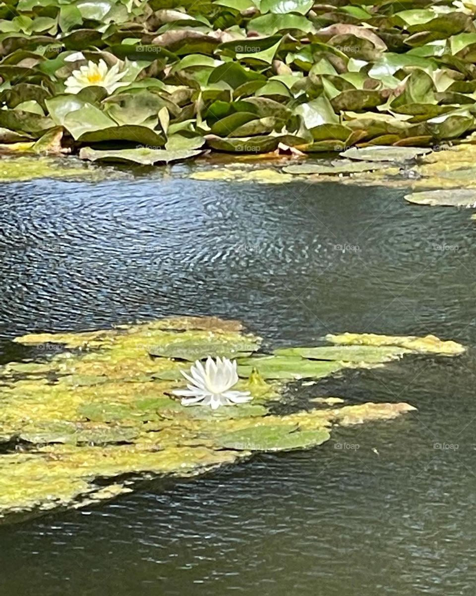 When nature speak to humans beings 