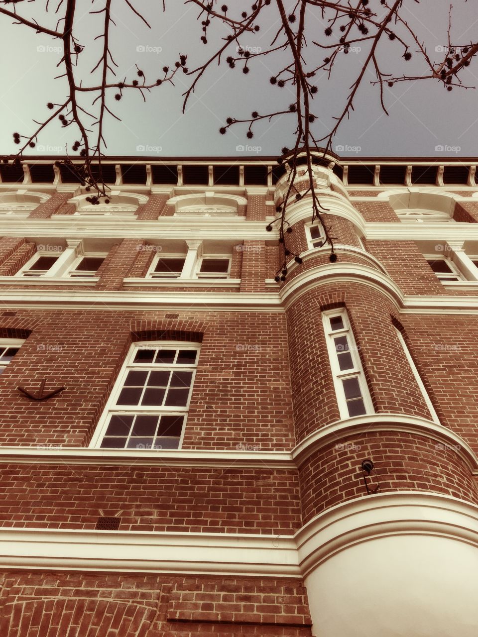 Old style building with London plane tree.
