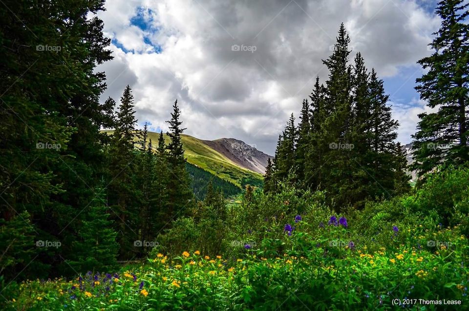 Into the Wild, Argentine Pass CO