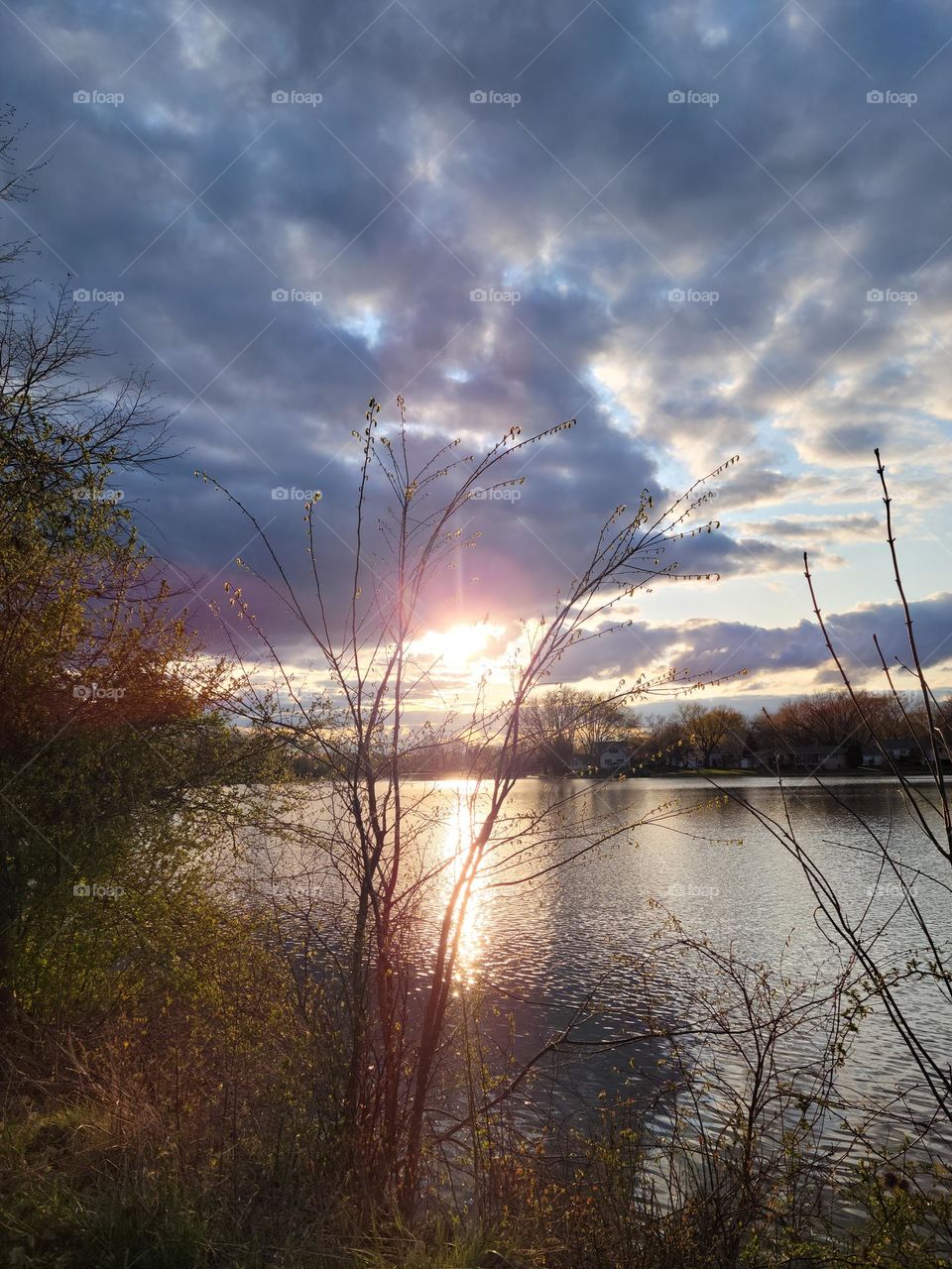 Conservation Park Sunset