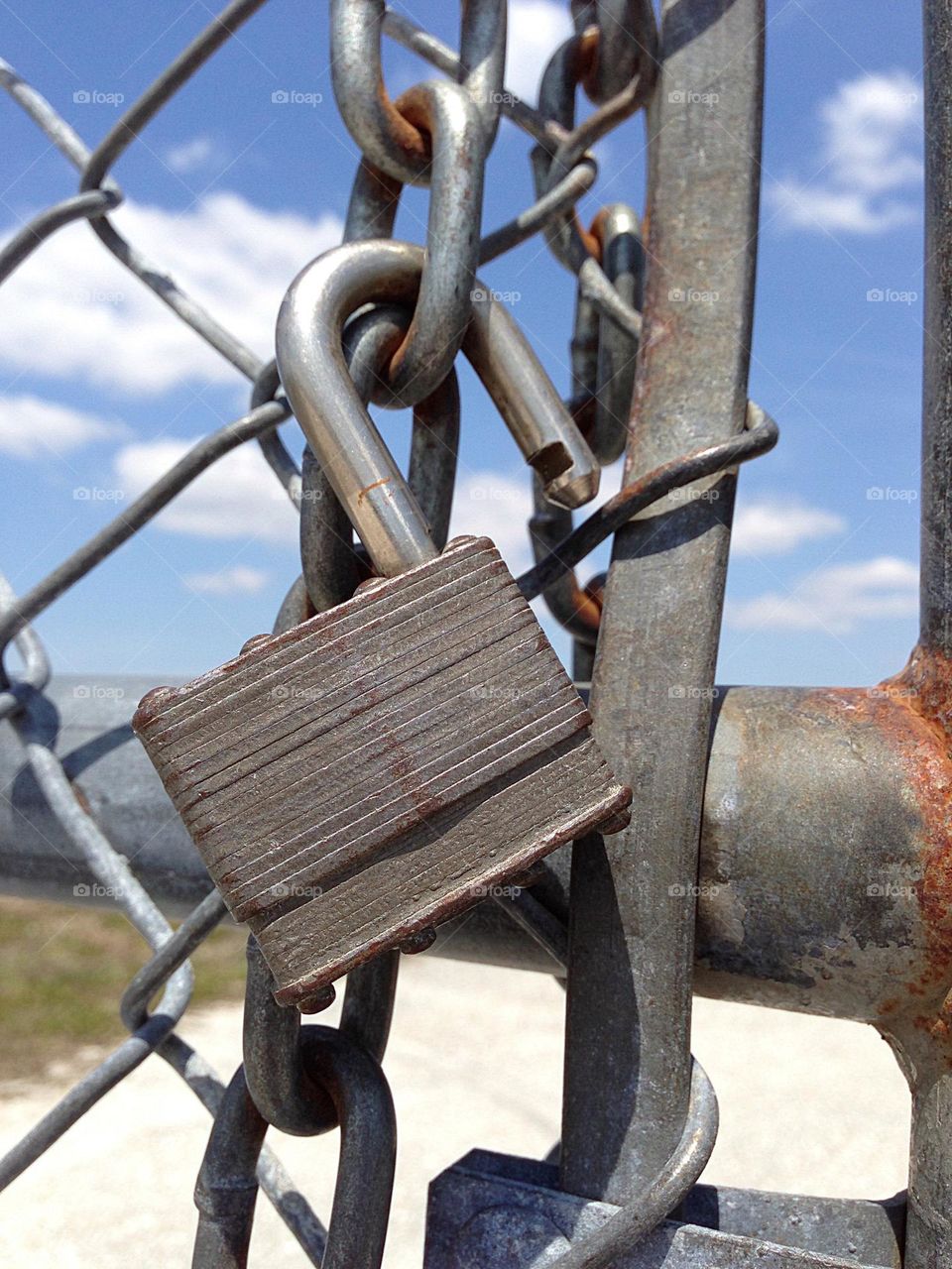 Metal padlock on a chain link fence.