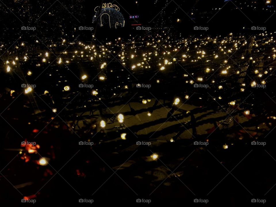 Christmas lights ✨