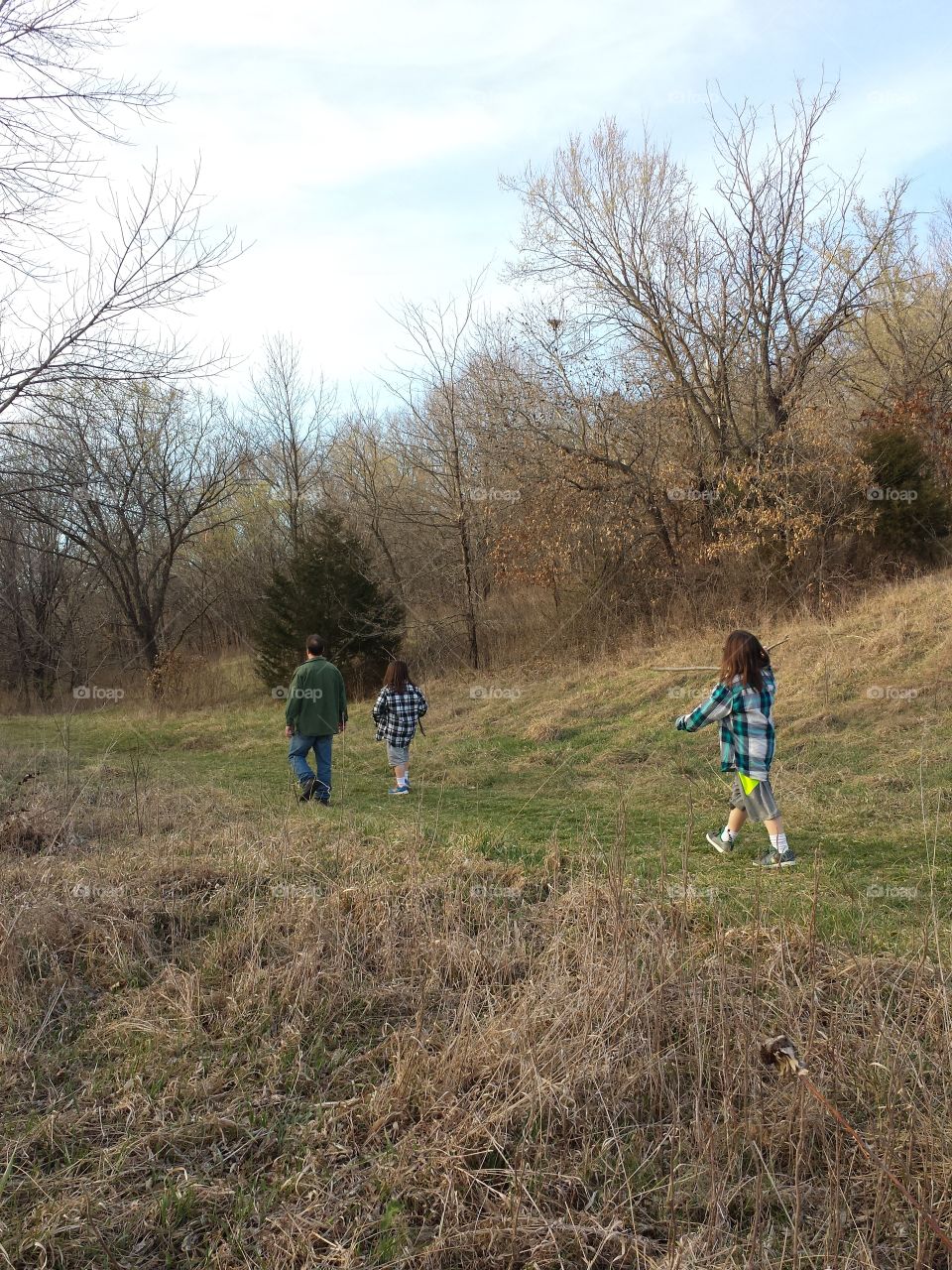 March Woodland Views