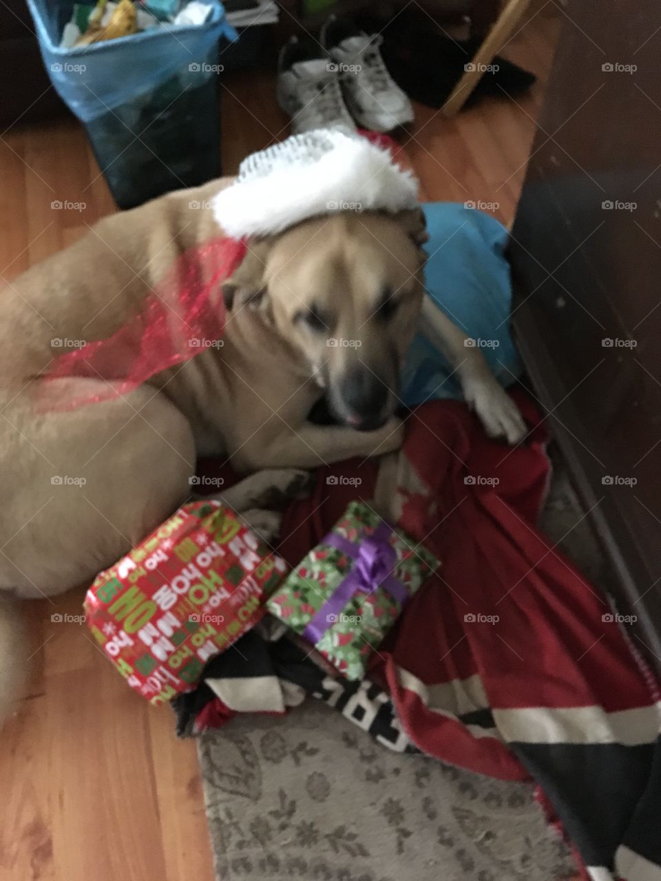 Is it Christmas yet? Are these mine?