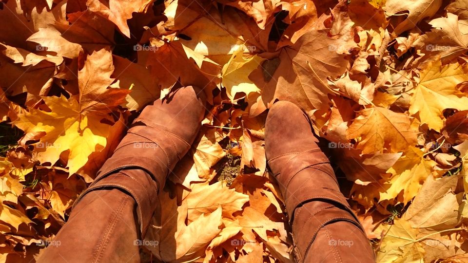 Cute boots and golden leaves