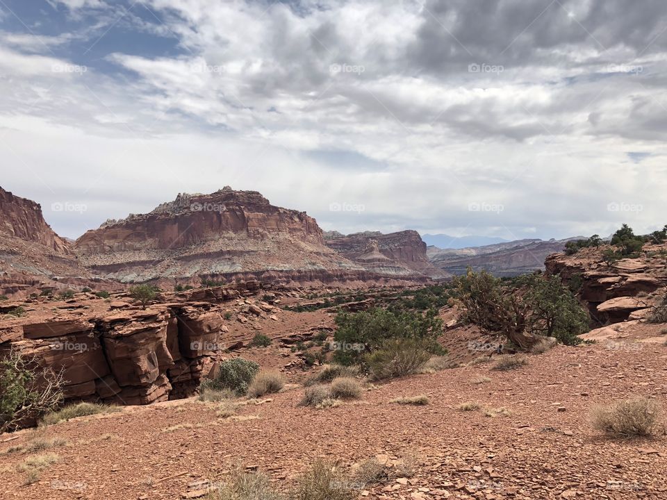 Towering cliffs at Capital Reef National Park
